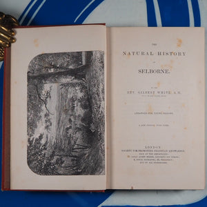 The natural history of Selborne. Arranged for young persons. A new edition with notes. Gilbert White, Sir William, bart Jardine. Society for Promoting Christian Knowledge, London, [1833]