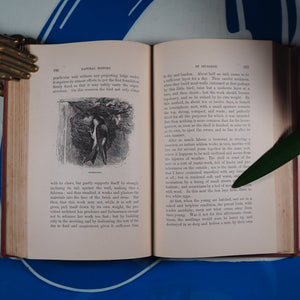 The natural history of Selborne. Arranged for young persons. A new edition with notes. Gilbert White, Sir William, bart Jardine. Society for Promoting Christian Knowledge, London, [1833]