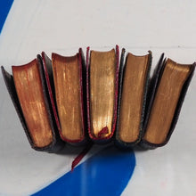 Load image into Gallery viewer, Goldsmith, Oliver. Vicar of Wakefield >>MINIATURE BOOK<<  Publication Date: 1900 Condition: Very Good. Binding Variant A. >>MINIATURE BOOK<<
