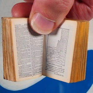 Holy Bible Containing The Old And New Testaments: Translated Out Of The Original Tongues >>MINIATURE BOOK<< Publication Date: 1901