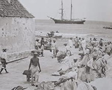 Load image into Gallery viewer, The Caribbean in sepia : a history in photographs, 1840 -1900 Michael Ayre ISBN 10: 0955106877 / ISBN 13: 9780955106873 Condition: Very Good
