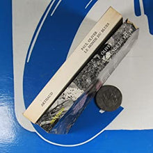 Load image into Gallery viewer, LE MONDE DU BLUES PAUL OLIVER Publication Date: 1962 In French. Condition: Very Good
