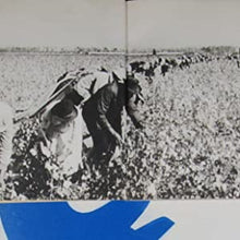 Load image into Gallery viewer, LE MONDE DU BLUES PAUL OLIVER Publication Date: 1962 In French. Condition: Very Good
